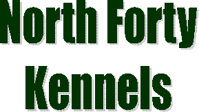 North Forty Kennels