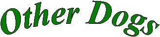 Ervin's Labs